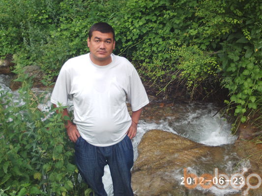  ,   ay dar, 50 ,  