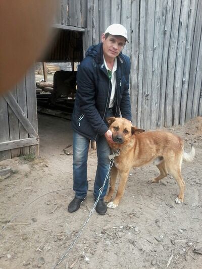  ,   , 41 ,   ,   , c 