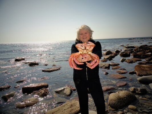 ,   Alisa, 60 ,     , c 
