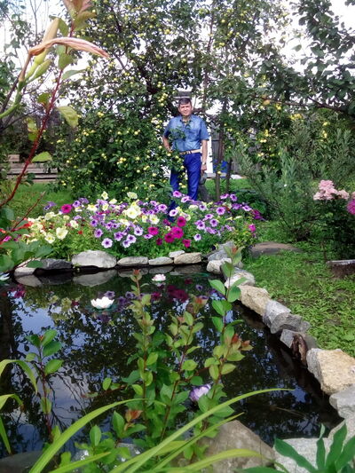  ,   , 65 ,   ,   , c 