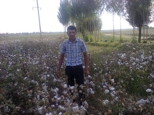  ,   Komiljon, 39 ,   