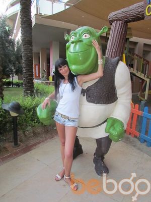  ,   , 43 ,  