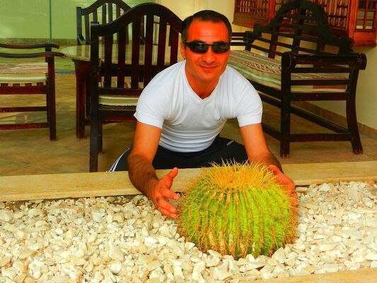  ,   RMEN, 50 ,   ,   , c 