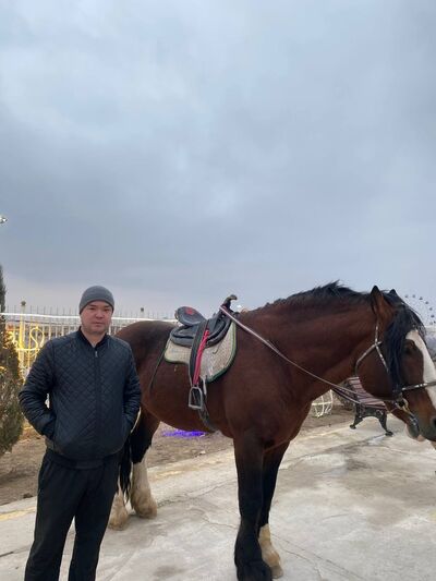  ,   Shokirjon, 33 ,   ,   