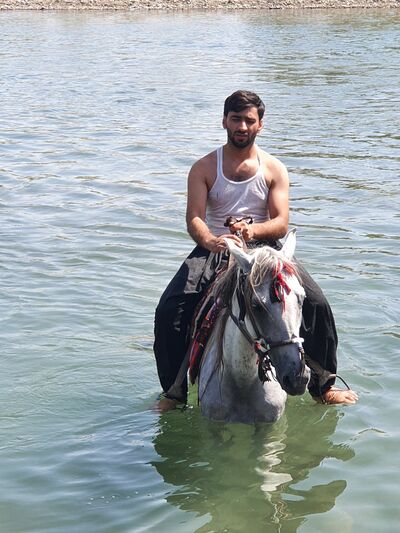  ,   Shafiq, 29 ,   ,   