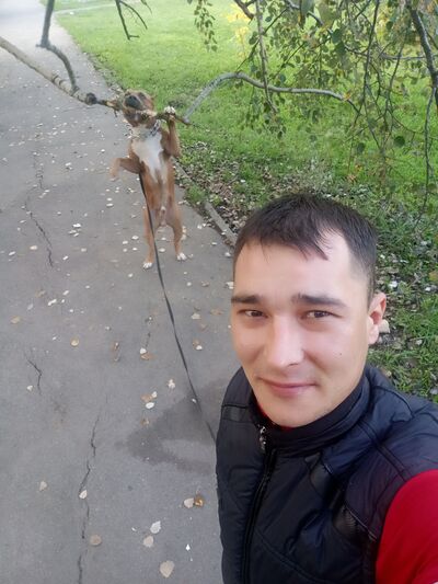  --,   , 33 ,   ,   , c 