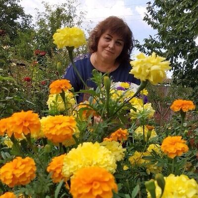  ,   , 59 ,   c 