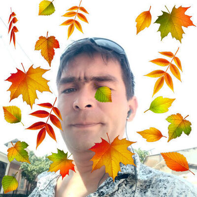  ,   Profile, 38 ,   ,   