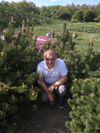  ,   Saxz, 61 ,   ,   , c 