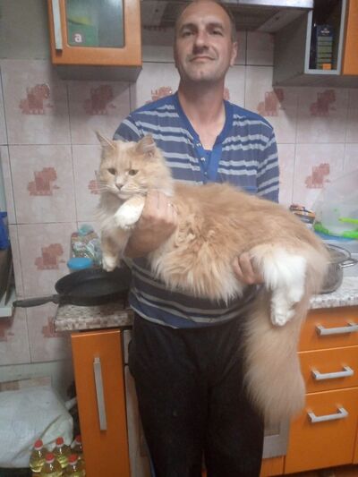  ,   , 44 ,   ,   