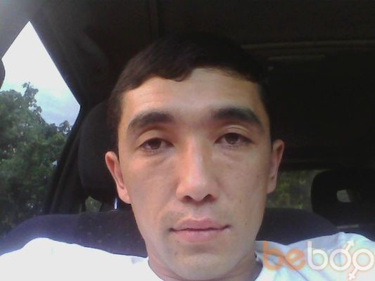  3346014   1984, 41 ,    