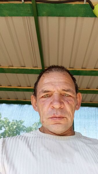  ,   , 54 ,   ,   