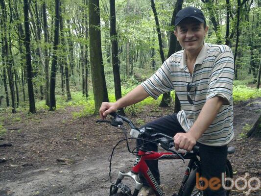  ,   Mad horse, 61 ,   