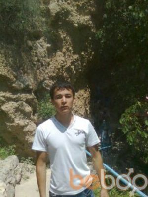  -,   Timur, 31 ,   ,   , c , 