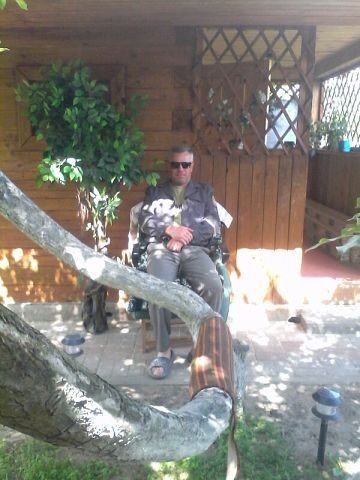  ,   , 51 ,   