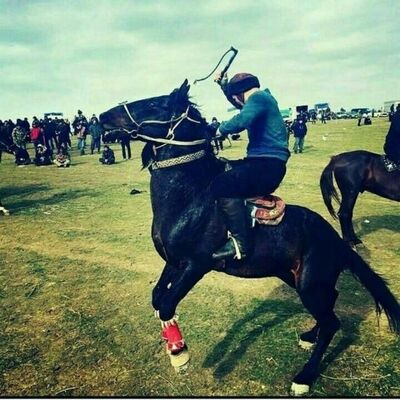  ,   BOTIRHON, 35 ,   ,   