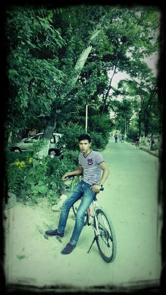  ,   Sardor, 33 ,   ,   , c 