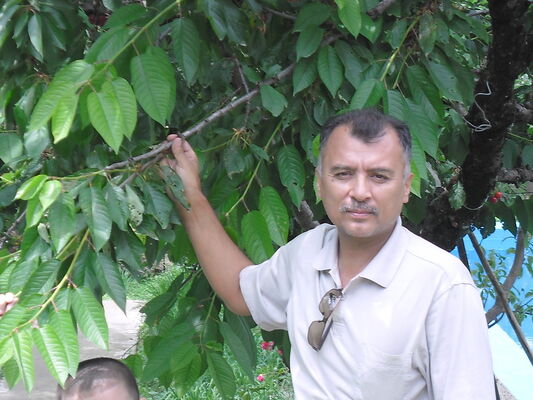  ,   k, 55 ,   ,   , c 