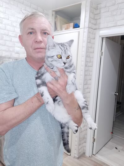  ,   , 51 ,   ,   