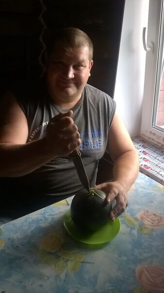  -,   , 48 ,   ,   