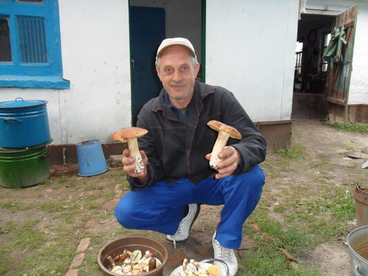  ,   , 61 ,  