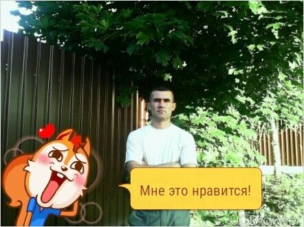  12616864  , 49 ,    