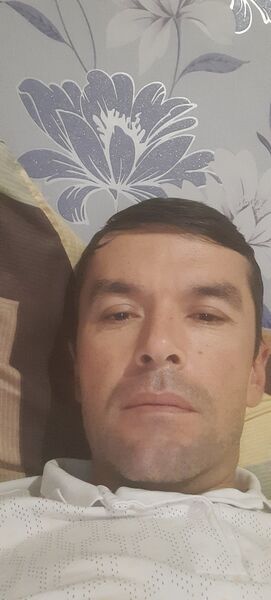  -,   , 43 ,   ,   