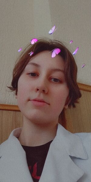  ,   , 22 ,     , 