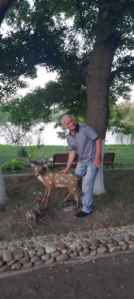  ,   AZ, 46 ,   ,   , 