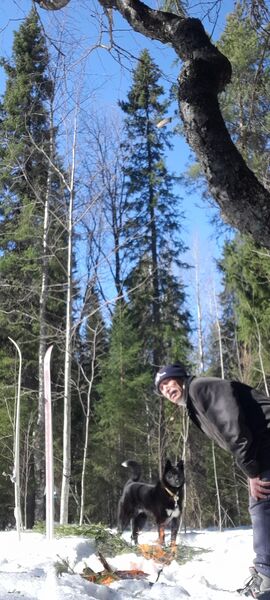  ,   , 71 ,   ,   , c 