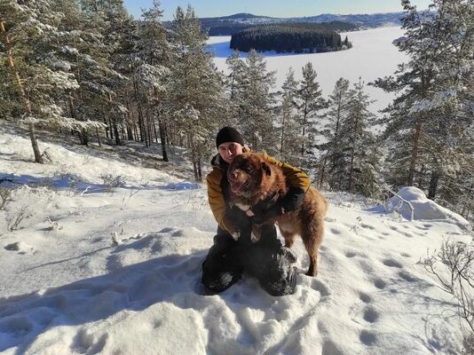   ,   Constantin, 33 ,   ,   