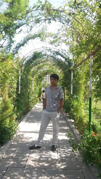  -,   Adil, 31 ,     , c 