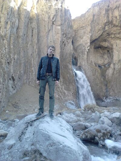  ,   Wolf, 34 ,   