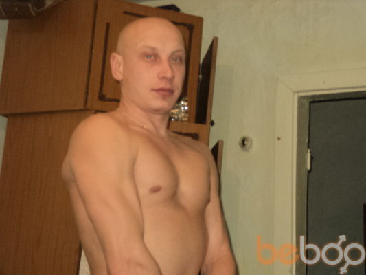  -,   , 41 ,  