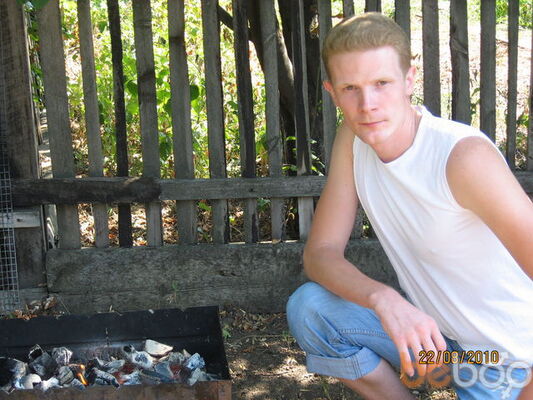  ,   Doberman, 43 ,   