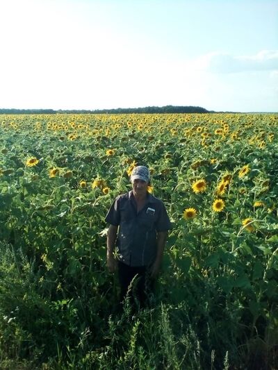   ,   , 60 ,   ,   , c 