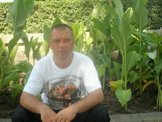  ,   , 44 ,   ,   , c , 