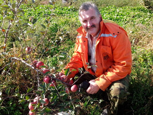  ,   , 67 ,   ,   , c 