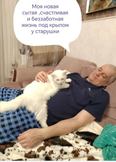  -,   , 51 ,     