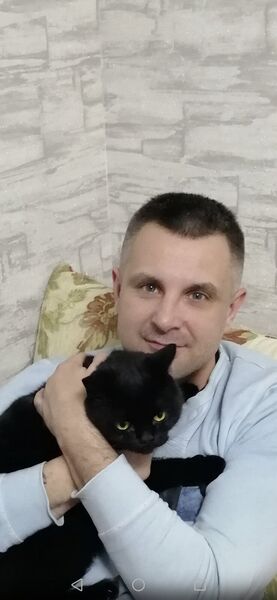  ,   , 41 ,   ,   , 