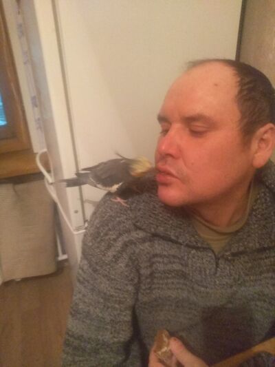  ,   , 46 ,   ,   