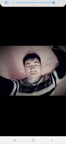 ,   Zamir, 40 ,   ,   , c 