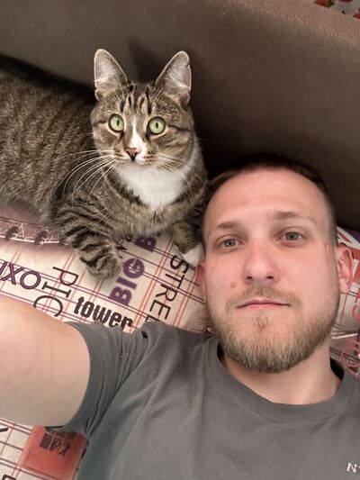  ,   , 28 ,   c 