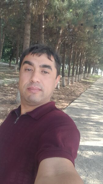  -,   , 41 ,   ,   
