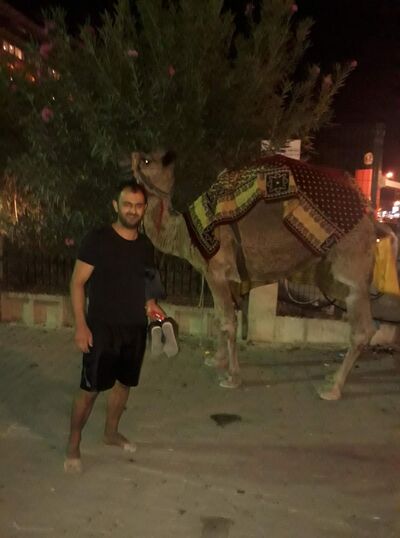  ,   Atalay, 41 ,   ,   
