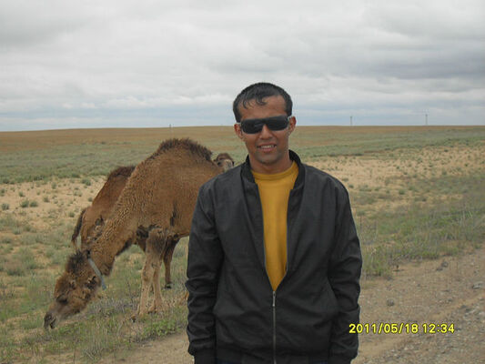  -,   , 37 ,   ,   , c 