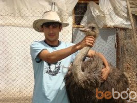 ���������� �������, ���� ������� Huligan, 37 ���, ������������ ��� ������