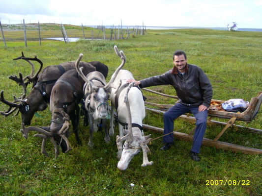  ,   C, 55 ,   