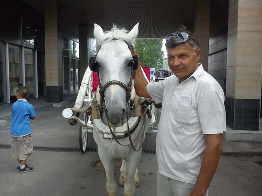  ,   Vladimir, 80 ,     , c 