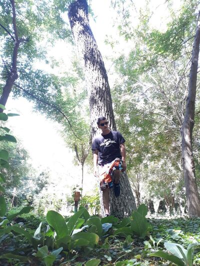  ,   Live, 36 ,   ,   